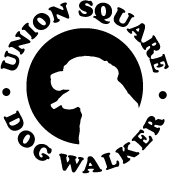 Union Square Dog Walker